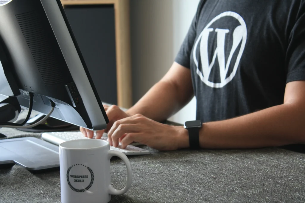 What is WordPress Developer