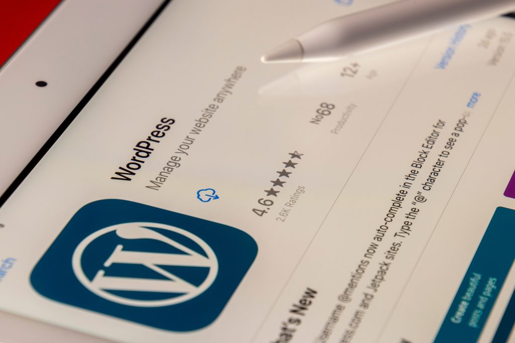 What is WordPress Developer